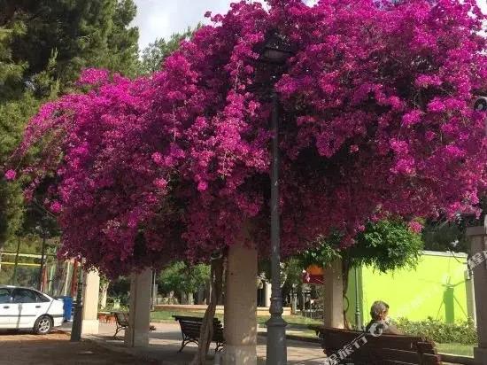 hotel image 27