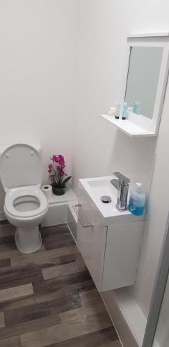 hotel image 49