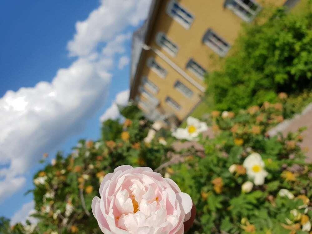 hotel image 20