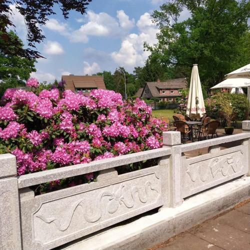 hotel image 30