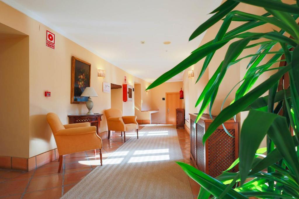 hotel image 24