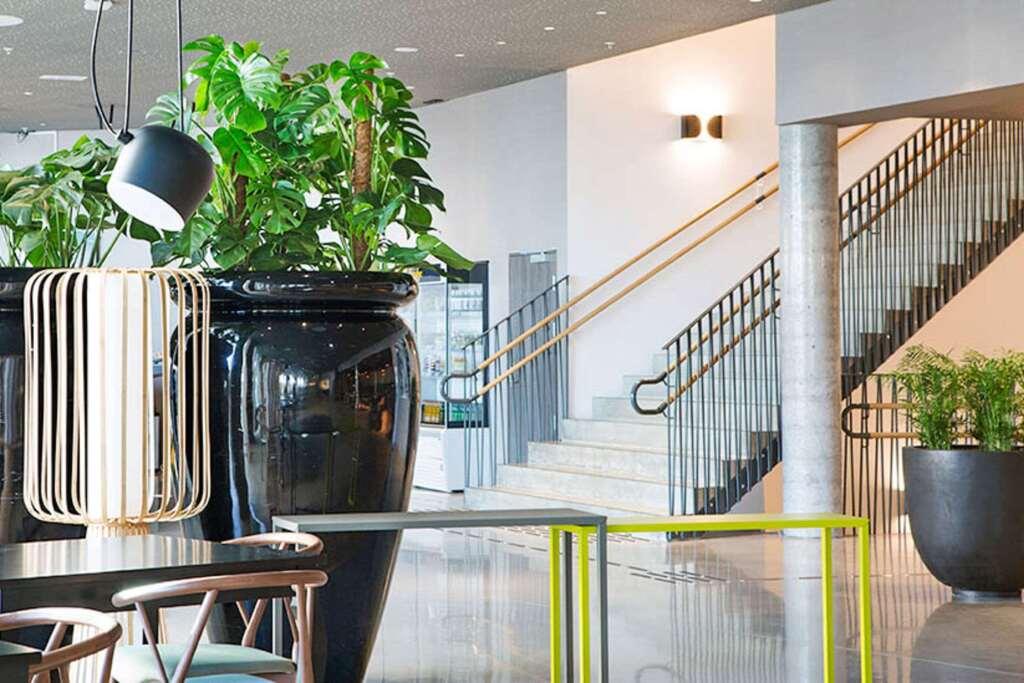 hotel image 8