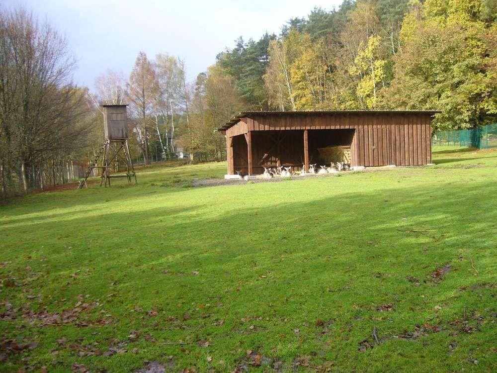 hotel image 11