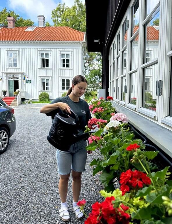 hotel image 9