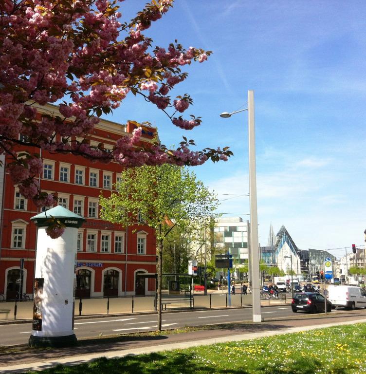 hotel image 13