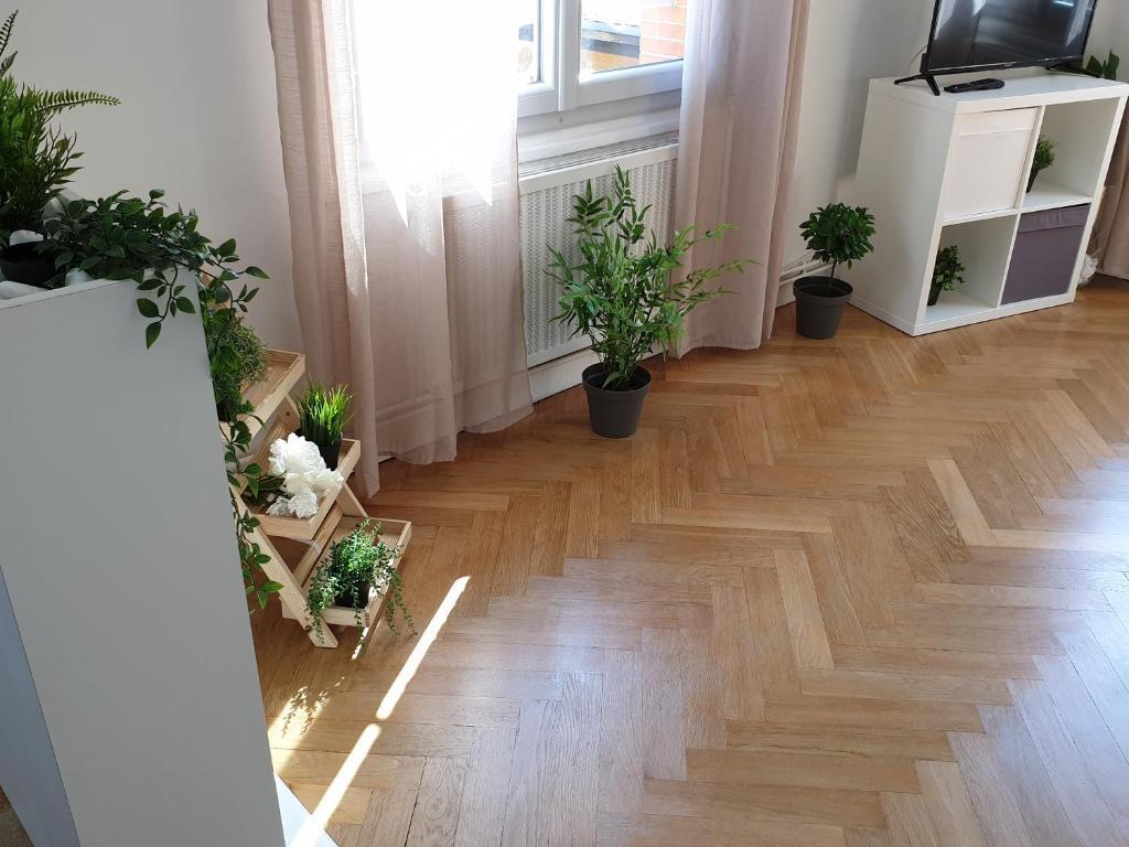 hotel image 12
