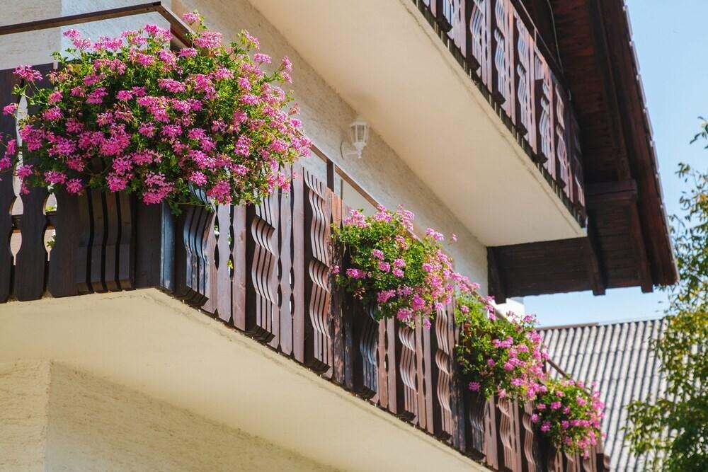 hotel image 21