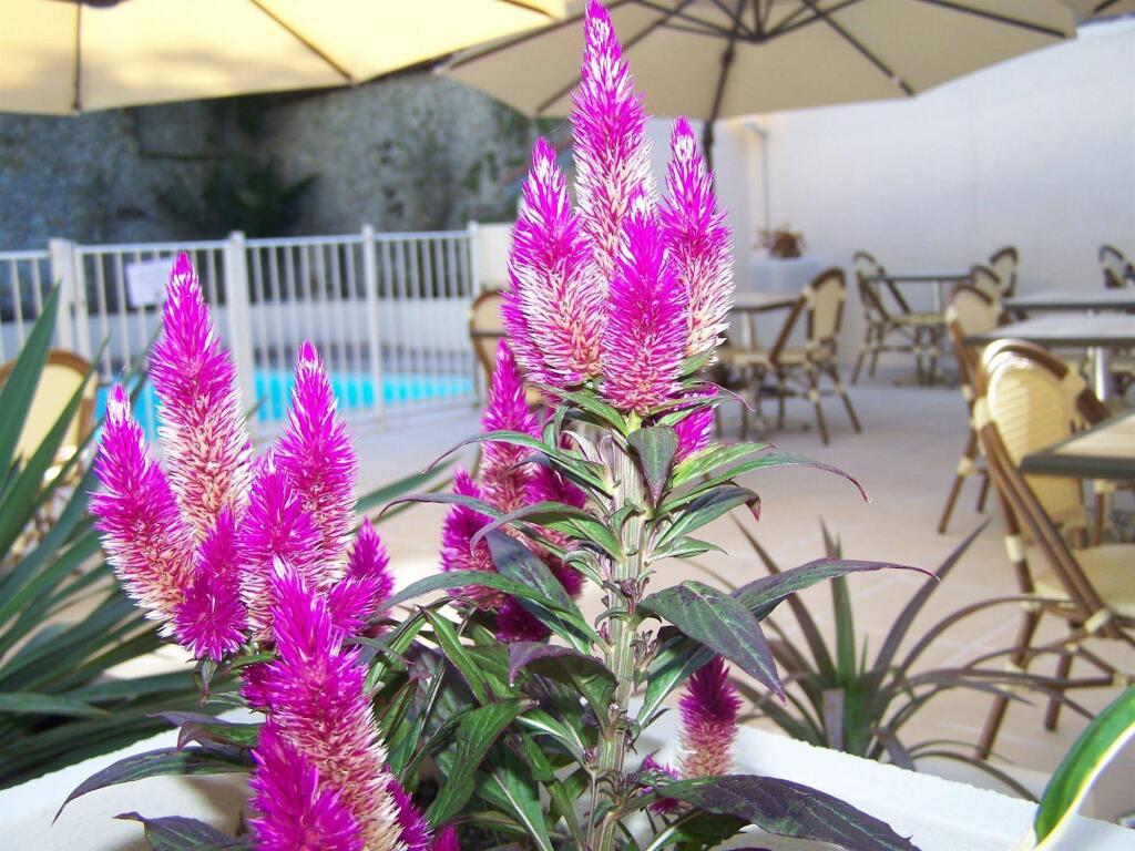 hotel image 10