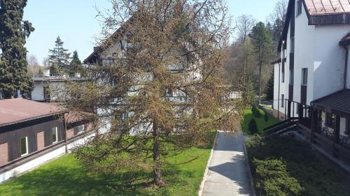 hotel image 16