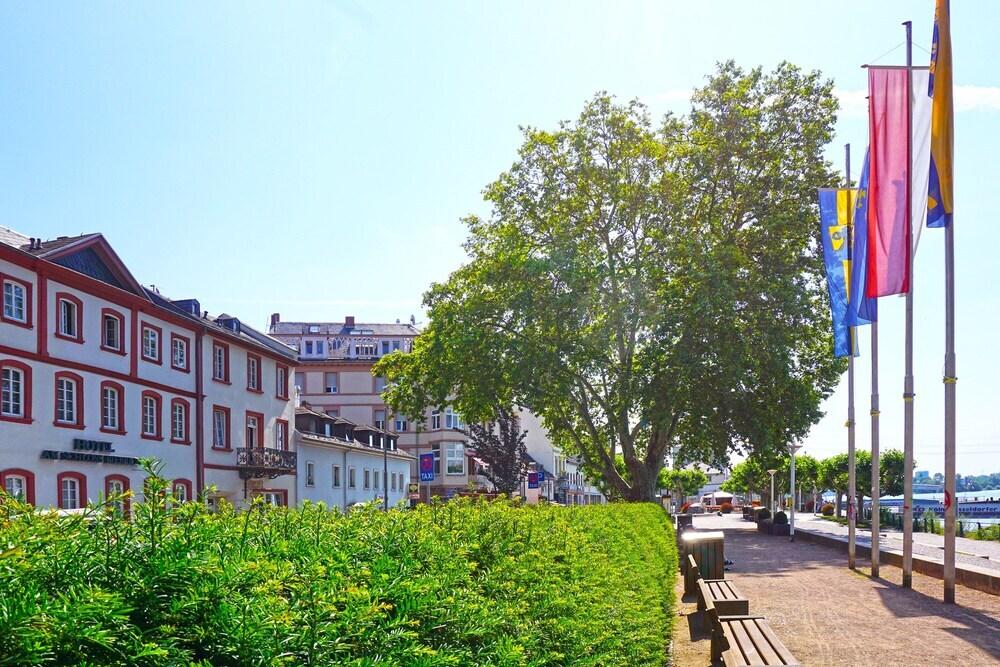 hotel image 12
