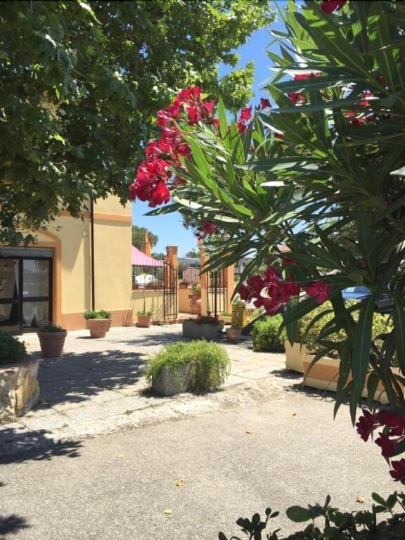 hotel image 13