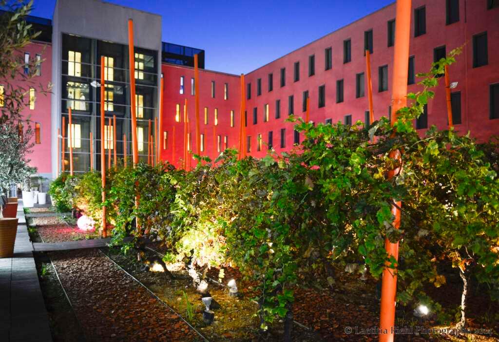 hotel image 21