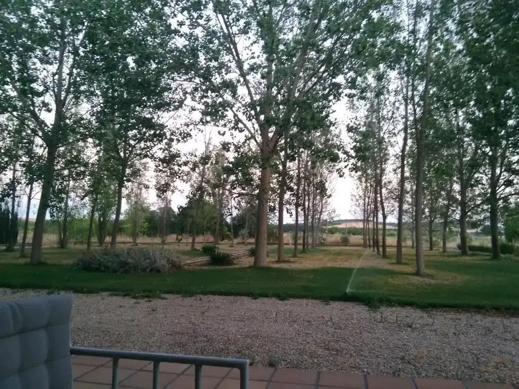 hotel image 22