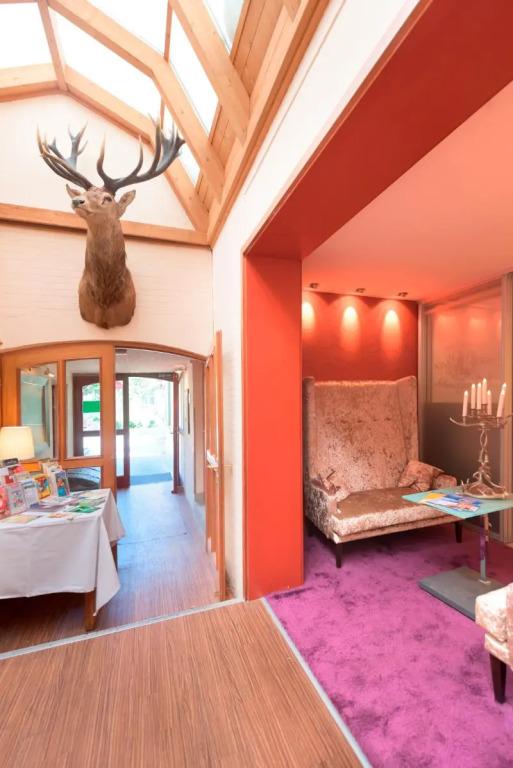 hotel image 11
