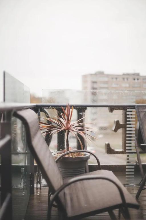 hotel image 24