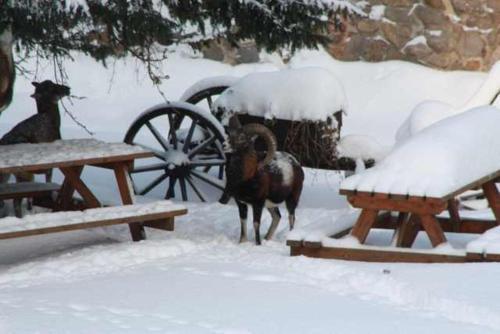 hotel image 26