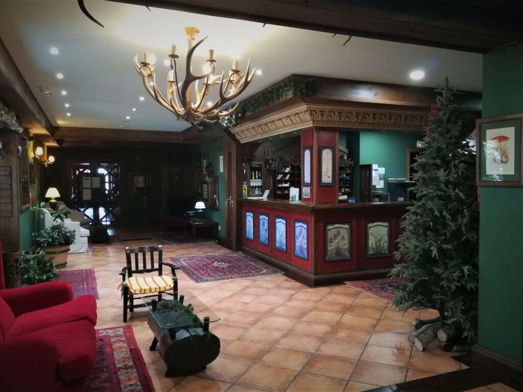 hotel image 15