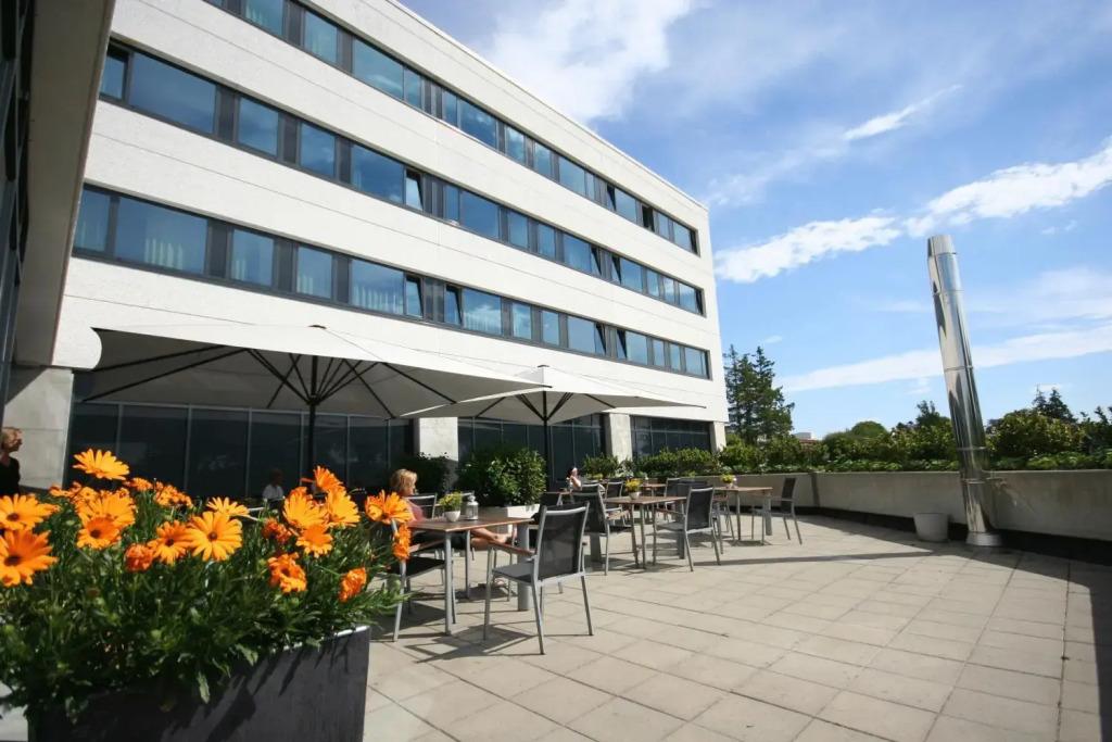hotel image 23