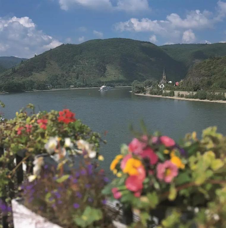hotel image 16
