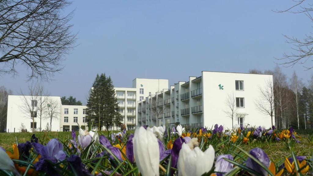 hotel image 29