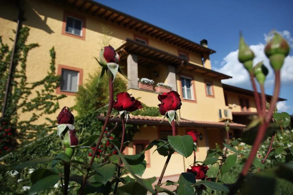hotel image 15