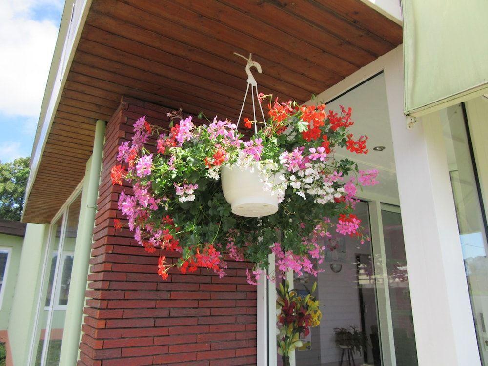 hotel image 20