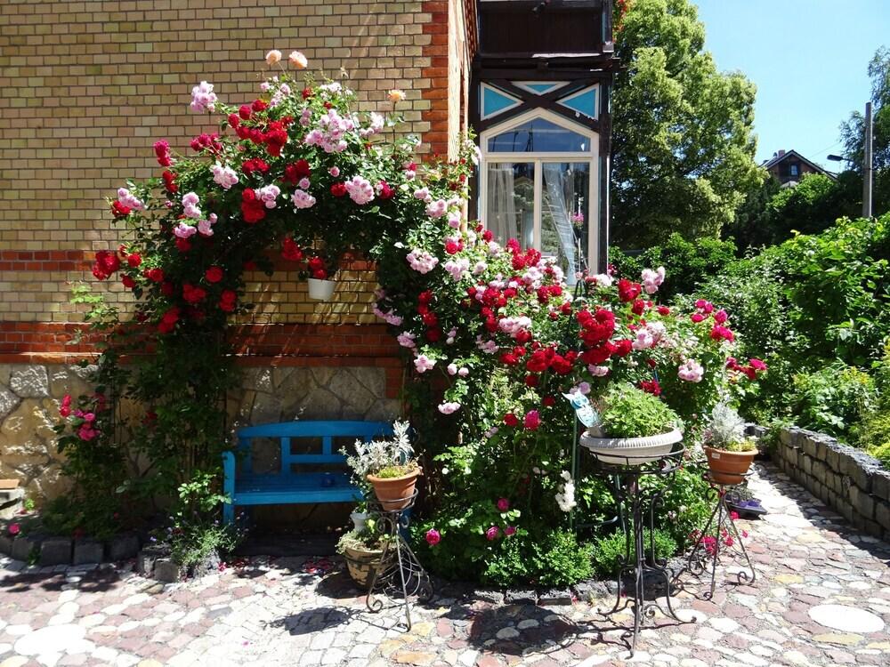 hotel image 15