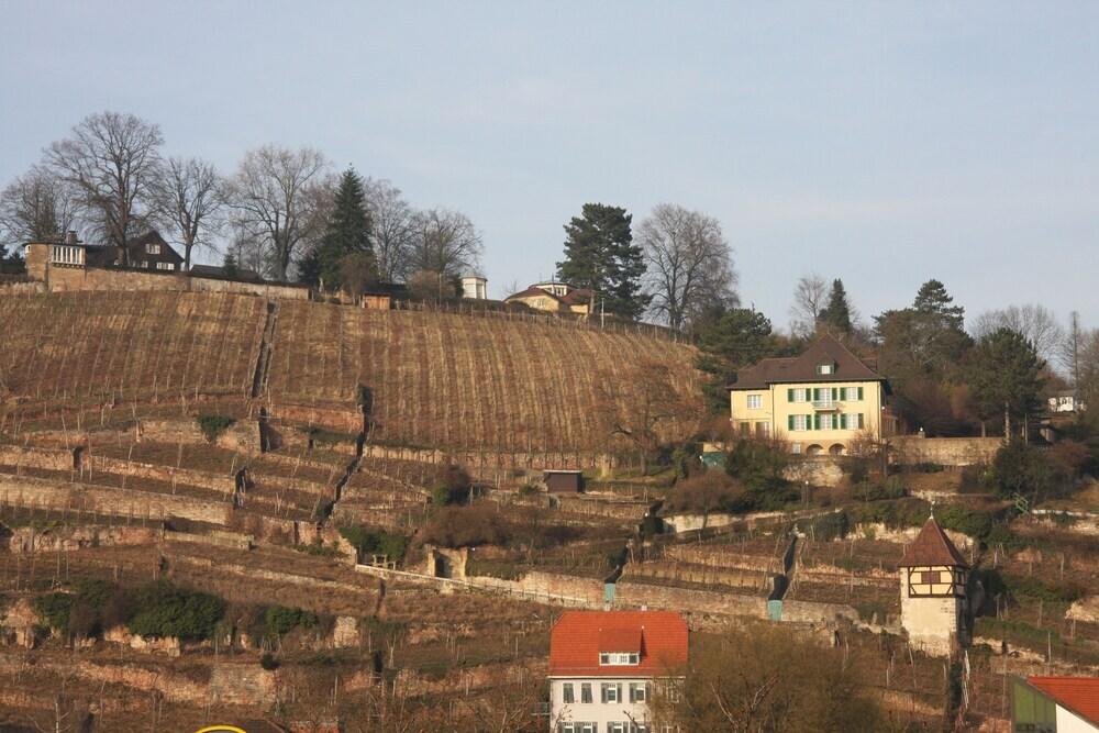 hotel image 22