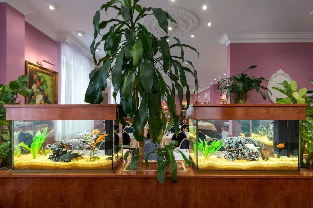 hotel image 13
