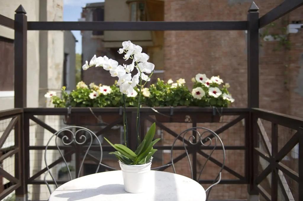 hotel image 19