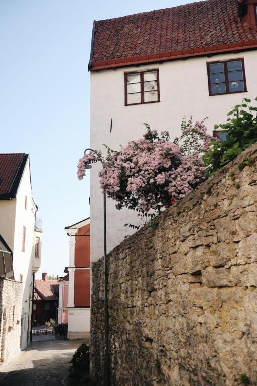 hotel image 38