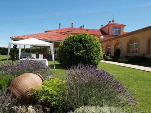 hotel image 19