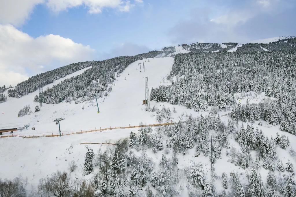 hotel image 31