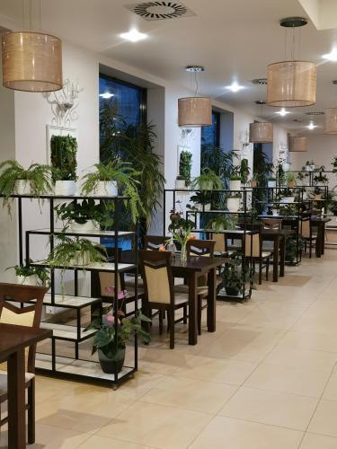 hotel image 9