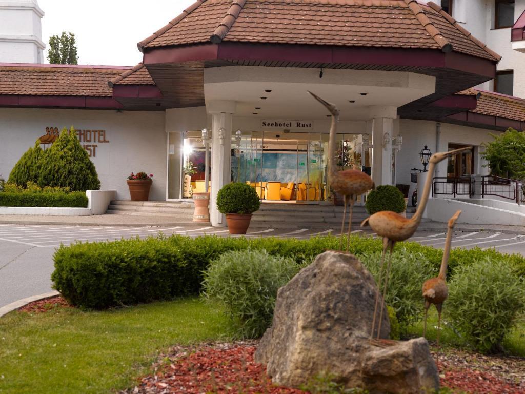 hotel image 19