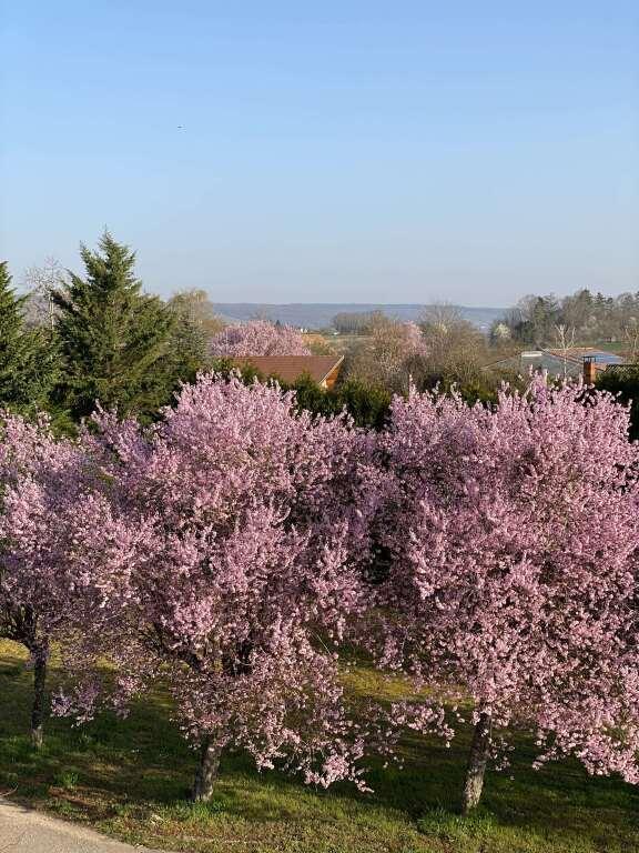 hotel image 29