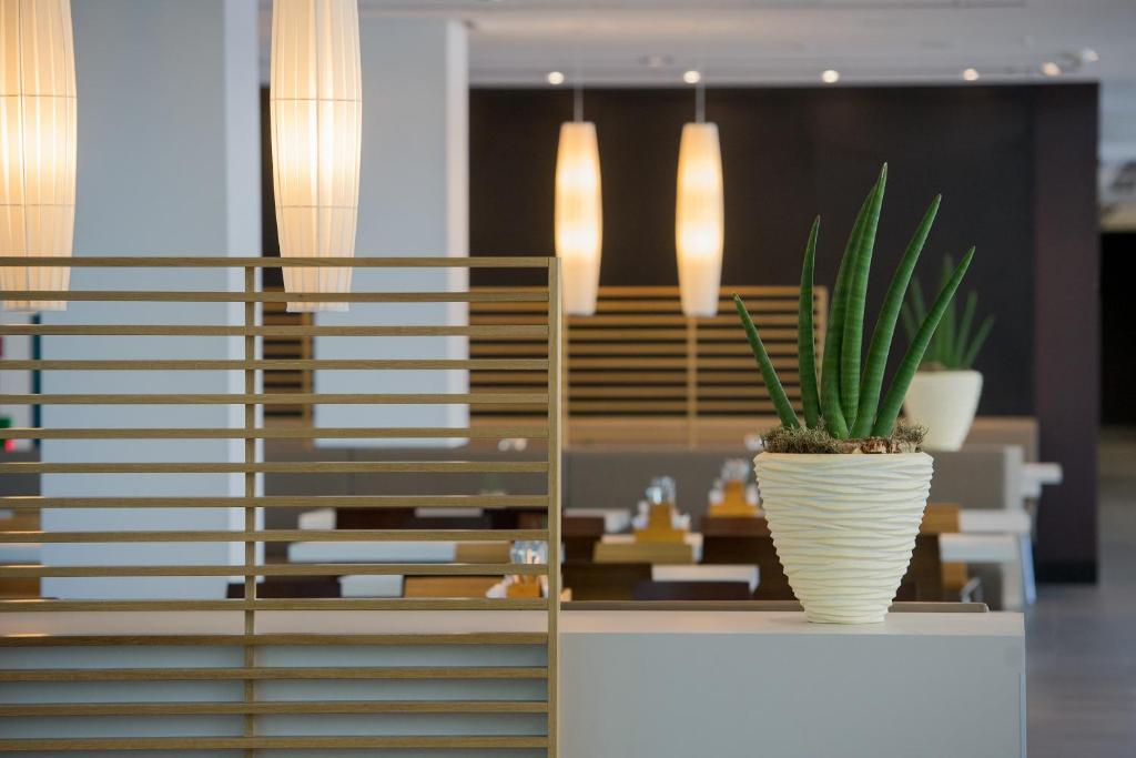 hotel image 11