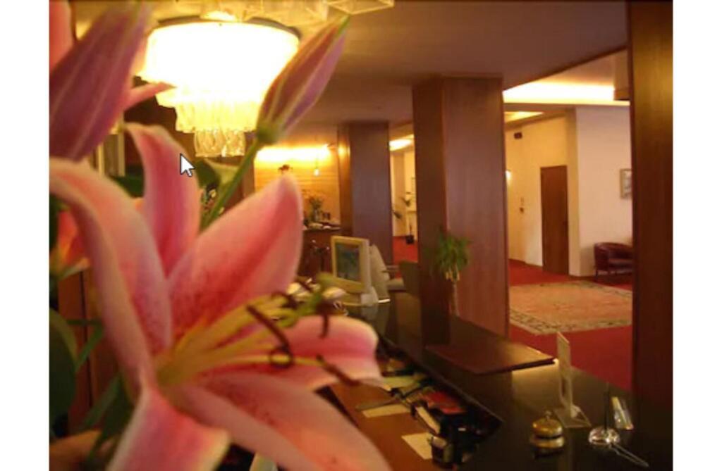 hotel image 15