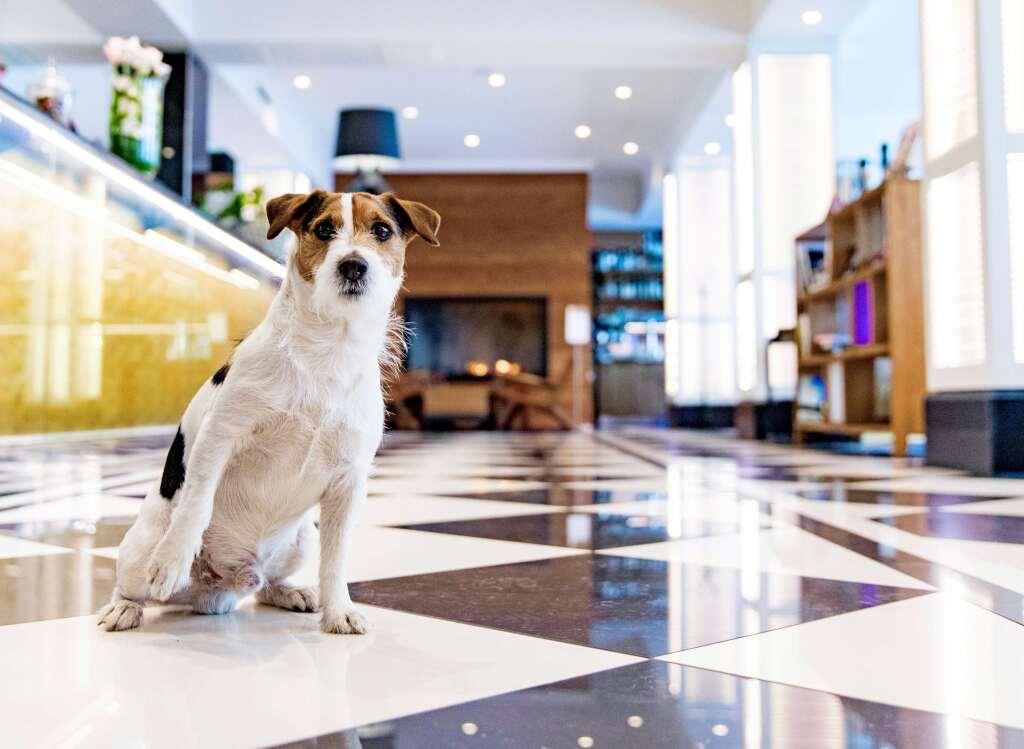 hotel image 28