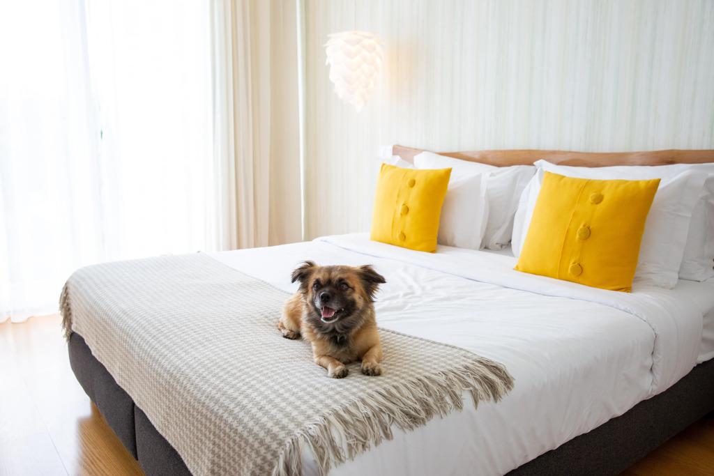 hotel image 10