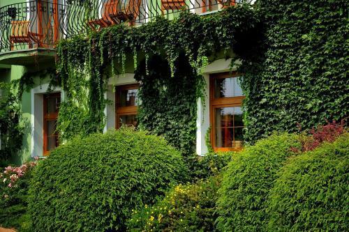 hotel image 20