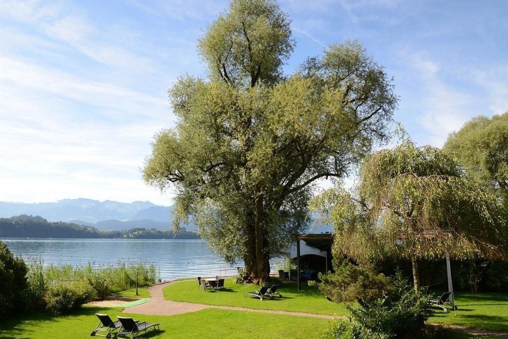 hotel image 16