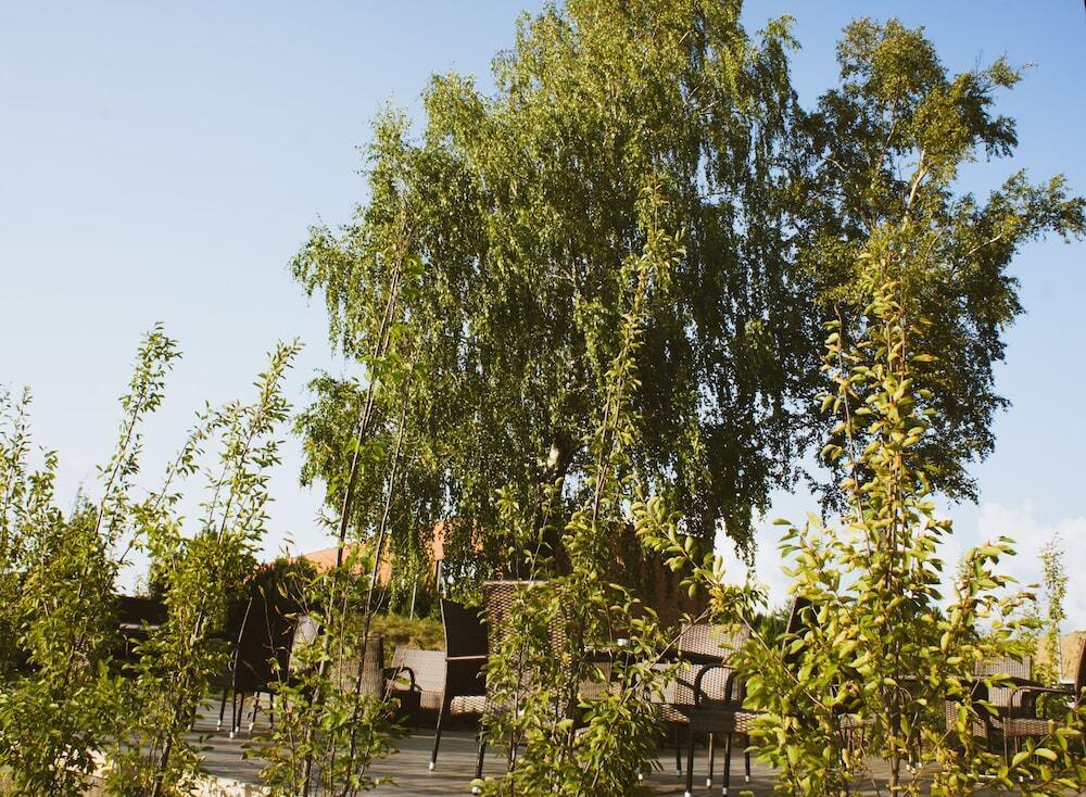 hotel image 28