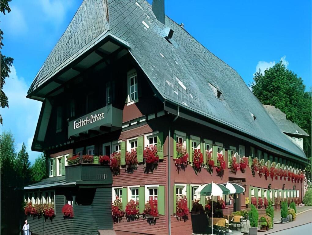 hotel image 9
