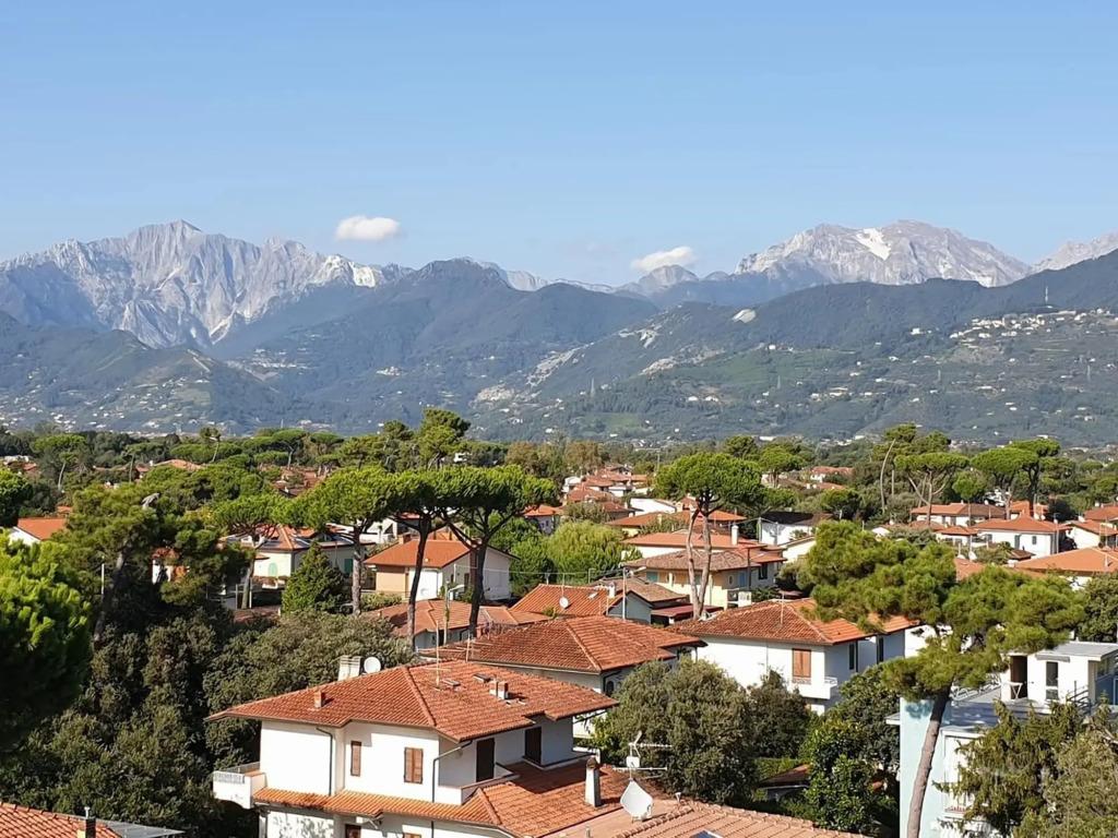 hotel image 26