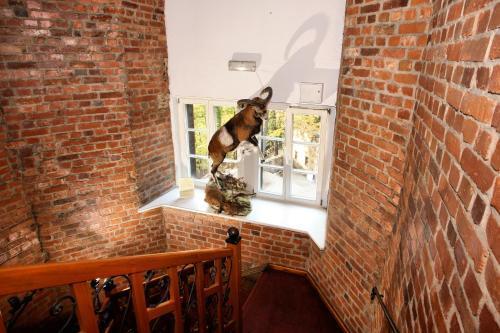 hotel image 19