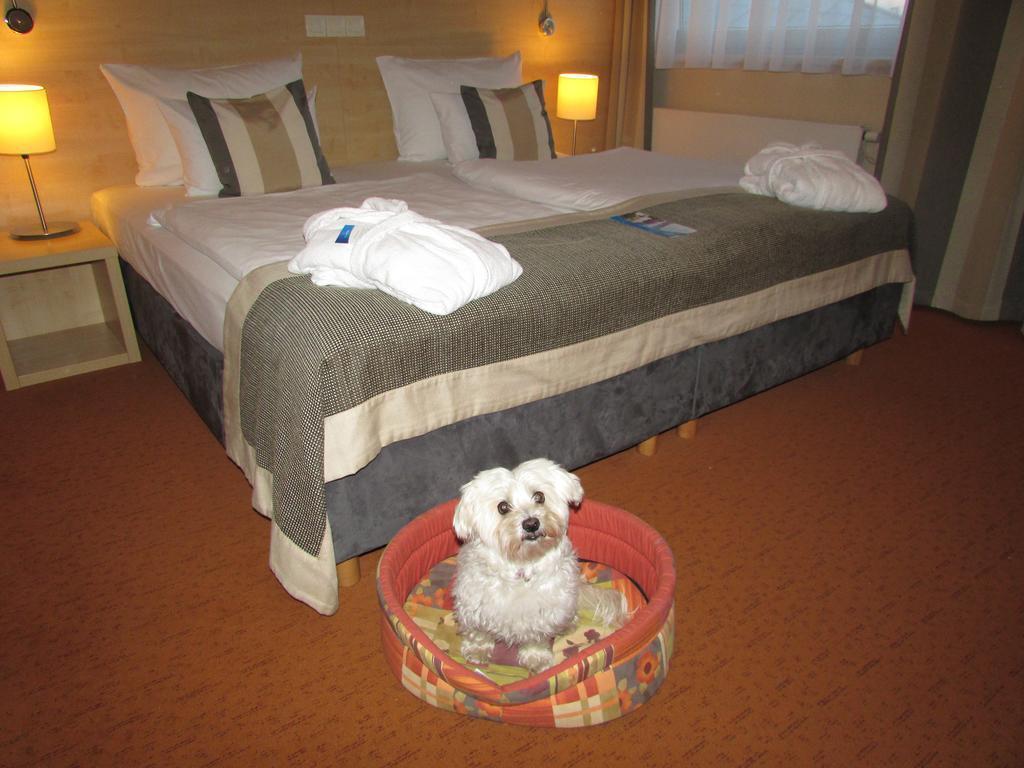 hotel image 10
