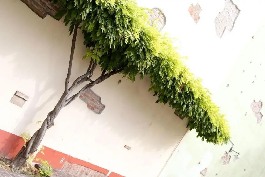hotel image 29