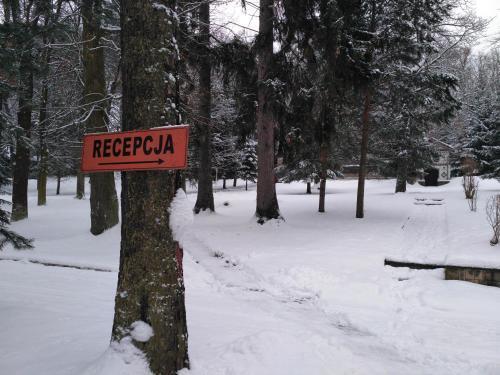 hotel image 35