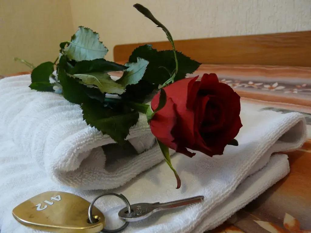 hotel image 16